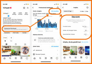 Es ist ein Screenshot von Instagram Insights zu sehen